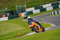 Lower Group Orange Bikes